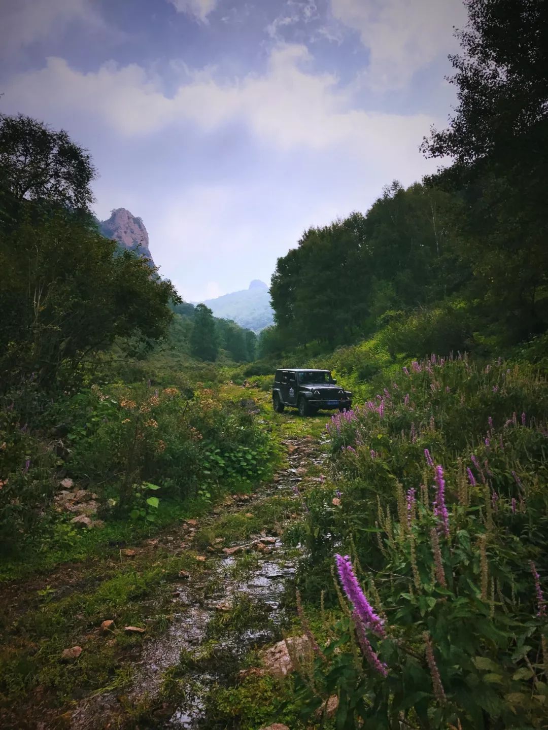 不是山谷 来自搜狐网