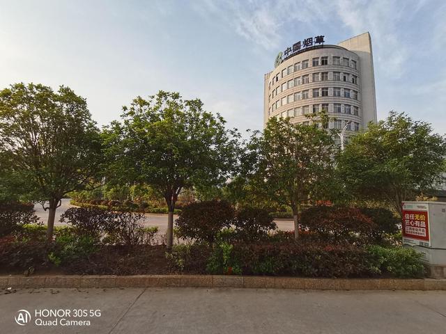 荣耀30S深度评测:不止于外表,内部更有料