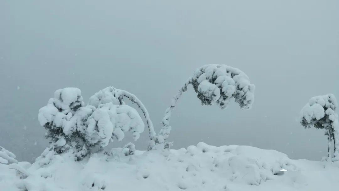 今年南寨岭的三月十八与往年不一样,大雪纷飞好一番不