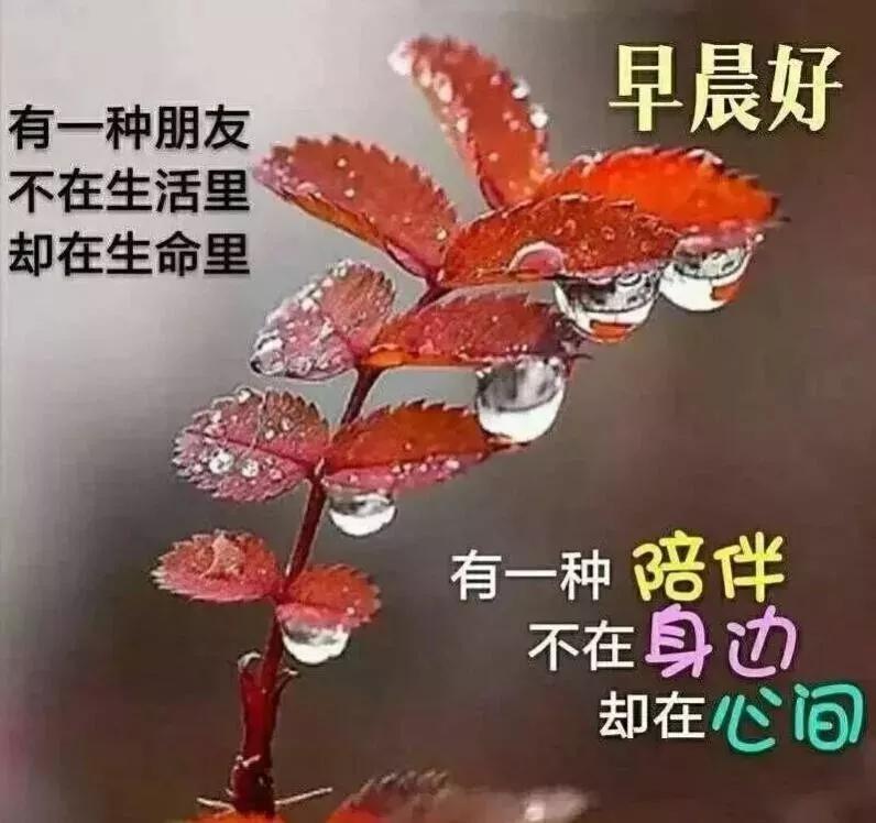 健康每一天,幸福到永远,早上好图片问候语大全