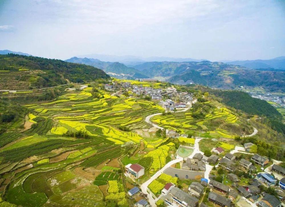奉化大堰油菜花交通:建议自驾,直接导航到南岭村,不用买票地址:宁海县