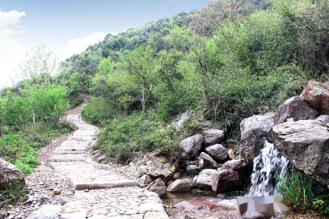 登高远眺,高山观赏映山红 古道入口 平天堂森林古道主要位于鸬鸟山