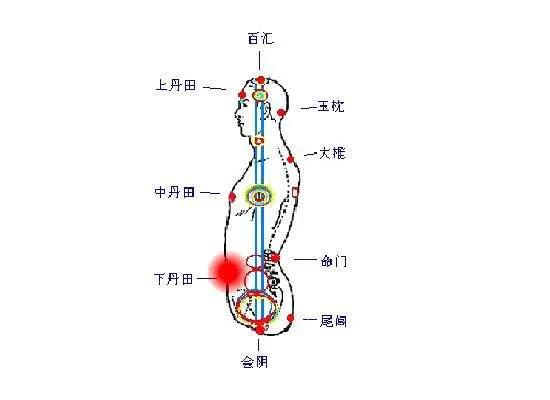 中医和太极的小周天的任督二脉运行方向之争