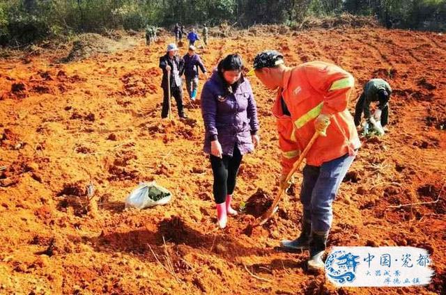 涌山镇人口_剑阁县元山镇常住人口