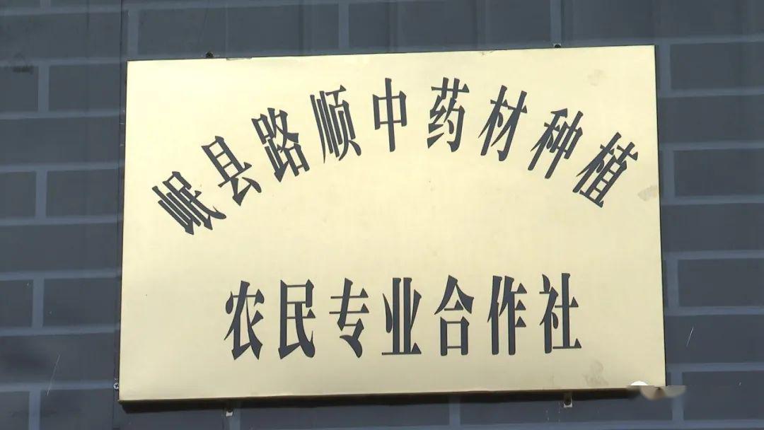 60万亩中药材标准化绿色种植擦亮岷县道地药材金字招牌