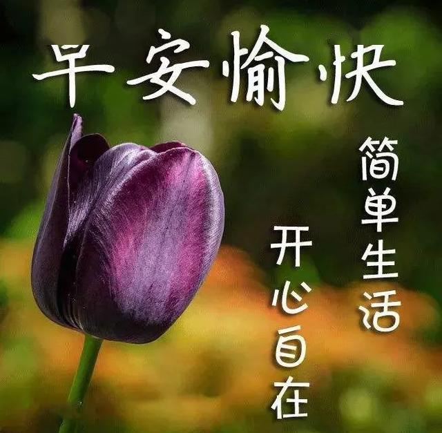 4月11日早上好问候祝福语最新漂亮图,最美早安问候祝福语图片