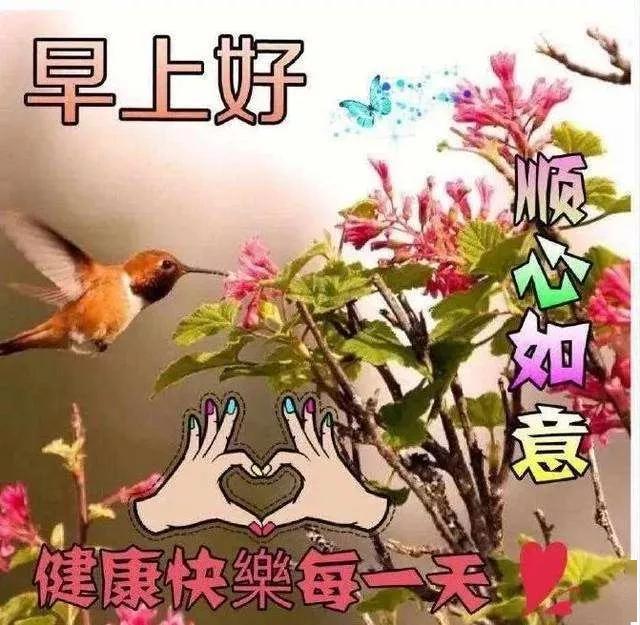 每天都许个愿望给你,快乐幸福属于你.早安