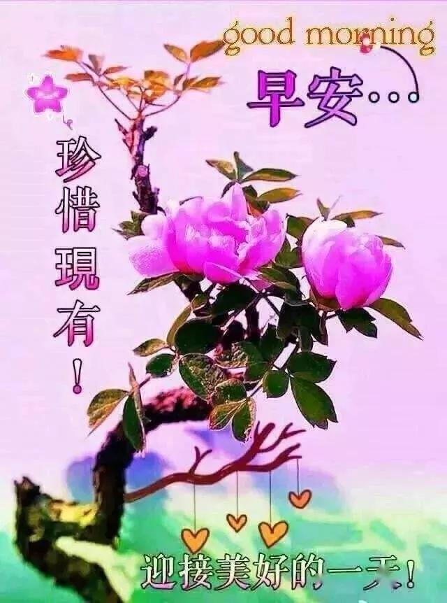 早晨好表情祝福语,早上好图片问候语大全