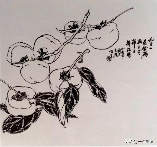 徐湛花鸟画教学柿子的写意画法