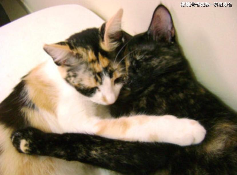 北京出租车司机妙语 第二集