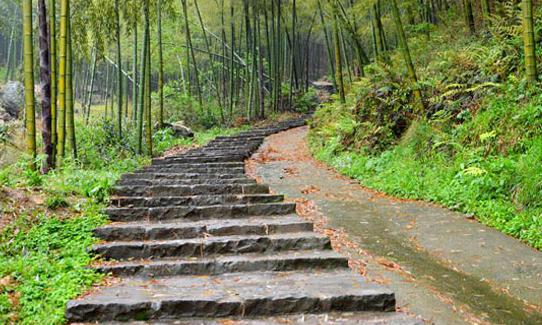 睡到自然醒,精美早餐之后游东盘山森林登山步道(游览时间约1.