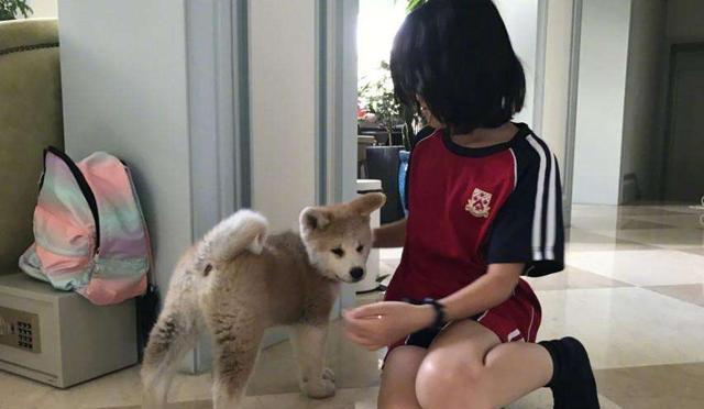 1a303f105eb5485ebd48016c4770814a.jpeg