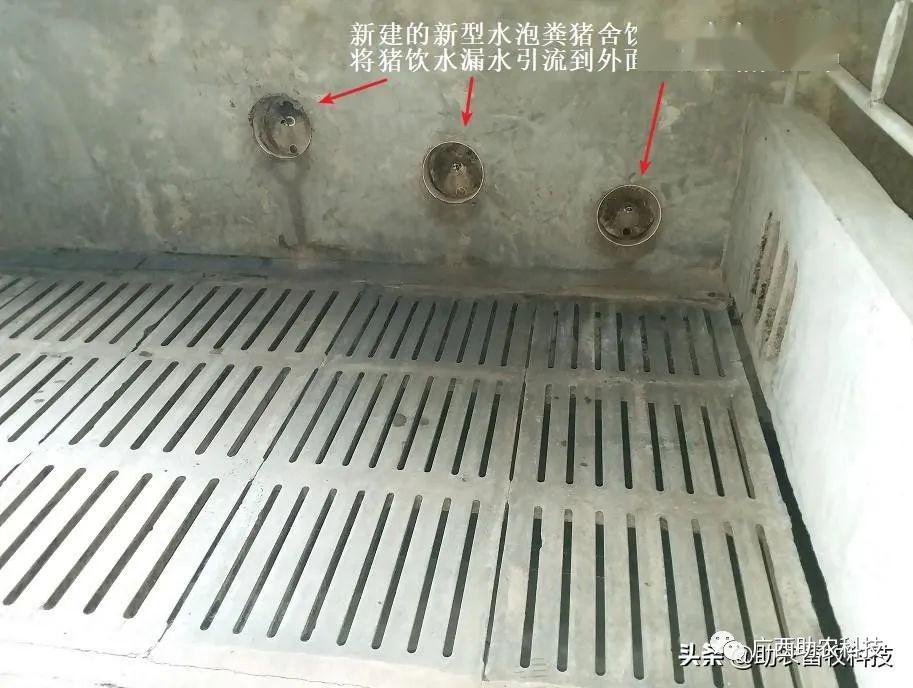 【视频】带你参观新建的新型水泡粪(尿泡粪)养猪模式及养殖现场,包括