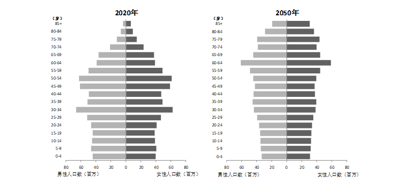 2020各年龄人口_中国人口各年龄结构图