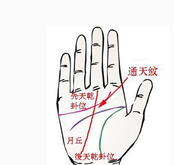大小多少人口手_博社村人口多少(3)