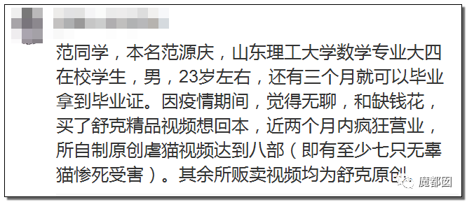 残忍发指山东理工大学生用变态手段疯狂虐猫致死事件始末