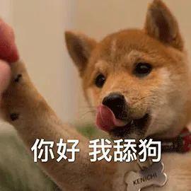 2e10f4022a51436b84735c1a994de9a7.jpeg