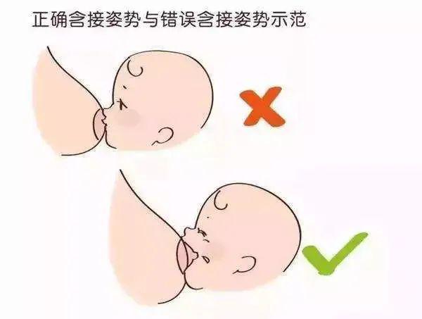 有人说,哺乳妈妈的胸都会因为喂奶而变形.究竟是不是这样呢?