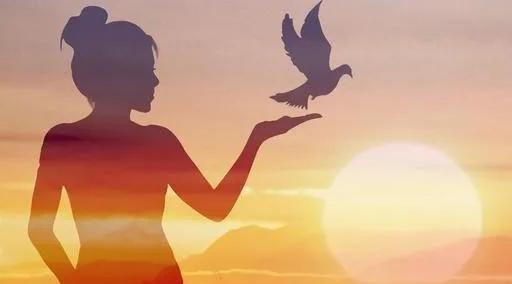 自由一点的职业 3eb9c62a52174e19b2987a863f69f788.jpeg