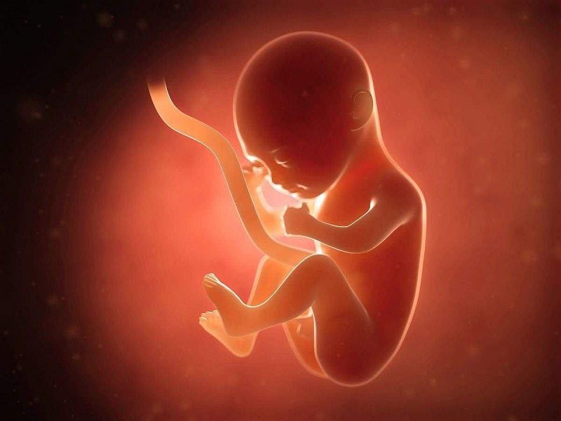 6个月脐带扭转导致胎停，是什么原因造成？以后怀孕要怎么注意？