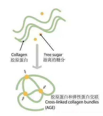 自由基产生原因有哪些 4eb9d3f85013460db8f81903e3c4b9d4.jpeg