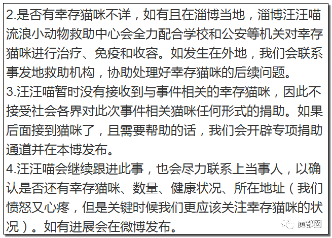 残忍发指山东理工大学生用变态手段疯狂虐猫致死事件始末