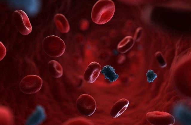 iga肾病是什么症状表现 68118d3690a74a4aabcf64bb70bbfaad.jpeg