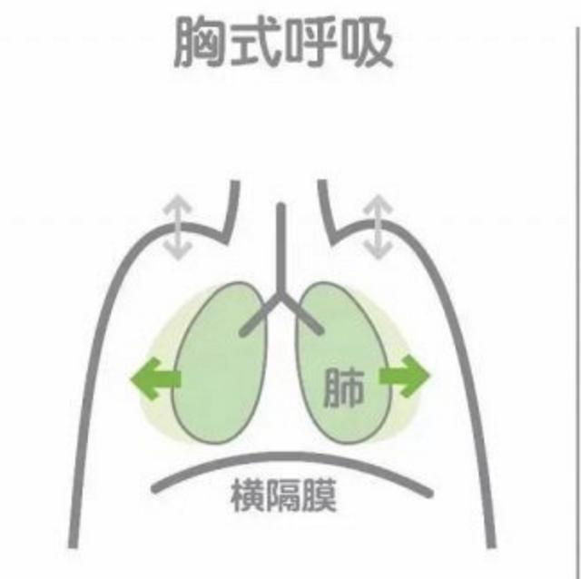 瑜伽的呼吸为什么是鼻吸鼻呼而不是用嘴呼吸