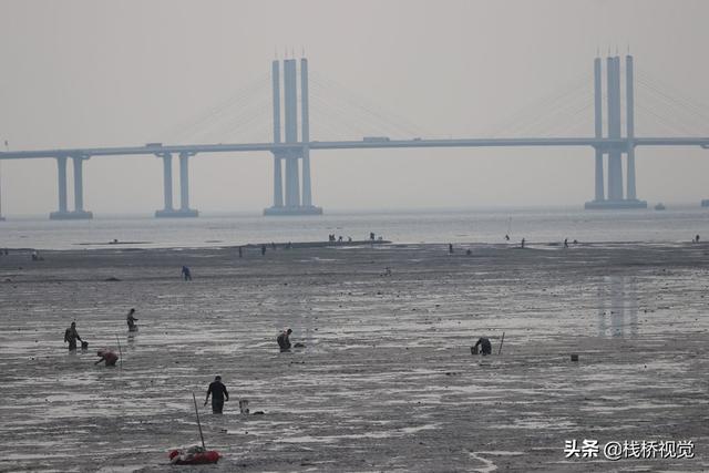 青岛胶州湾白泥地公园赶海