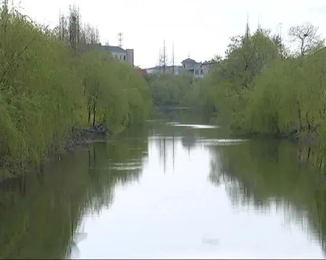 安丰镇经济总量_经济图片(2)