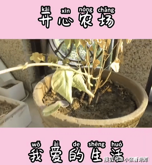9affc0b92ba542929052a7a22fb61cc0.png
