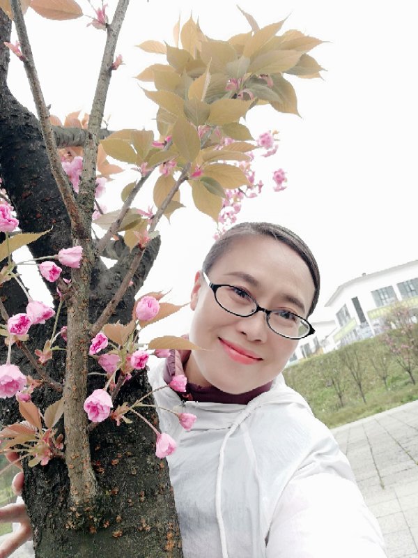 杨红英 来自搜狐网