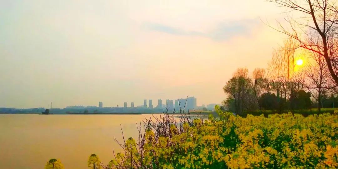 淮南很靓第135波镜看淮南最美风景随手拍摄影作品展