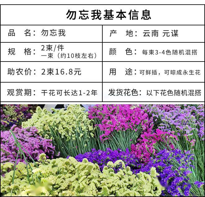 云南鲜花批发价