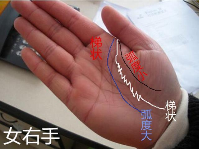 a3ba1254e36347718ee449afeb8d031a.jpeg