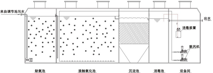 自动控制柜(6,污泥池(5,消毒池(4,二沉池(3,生物接触氧化池(2)