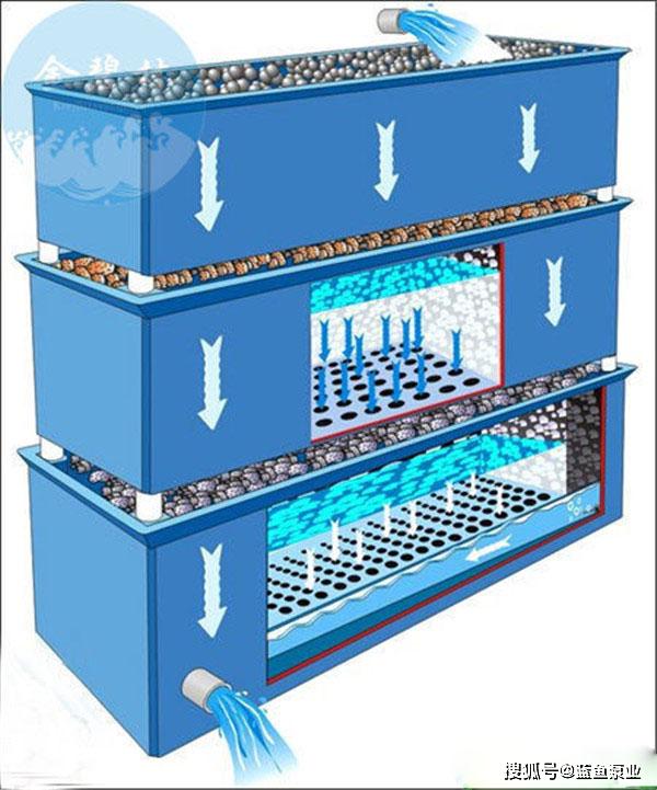 锦锦鱼缸不同过滤的优缺点