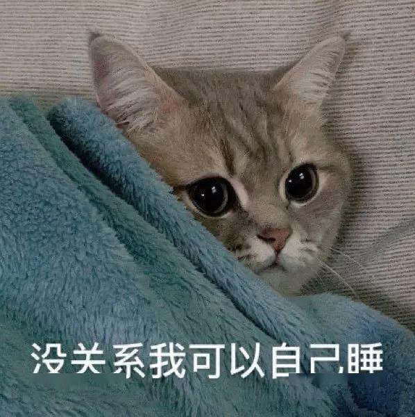 沙雕聊天表情包i以后不可以这样了