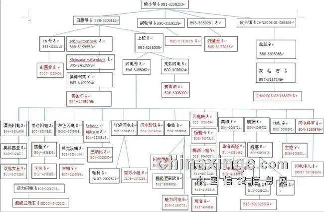 【名鸽】一张图看懂"盖比鸽系",盖比鸽系40年育种图谱