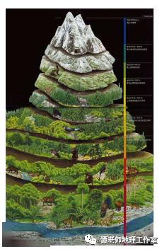 【新微专题】高考微专题:山地垂直带谱图的判读_植被
