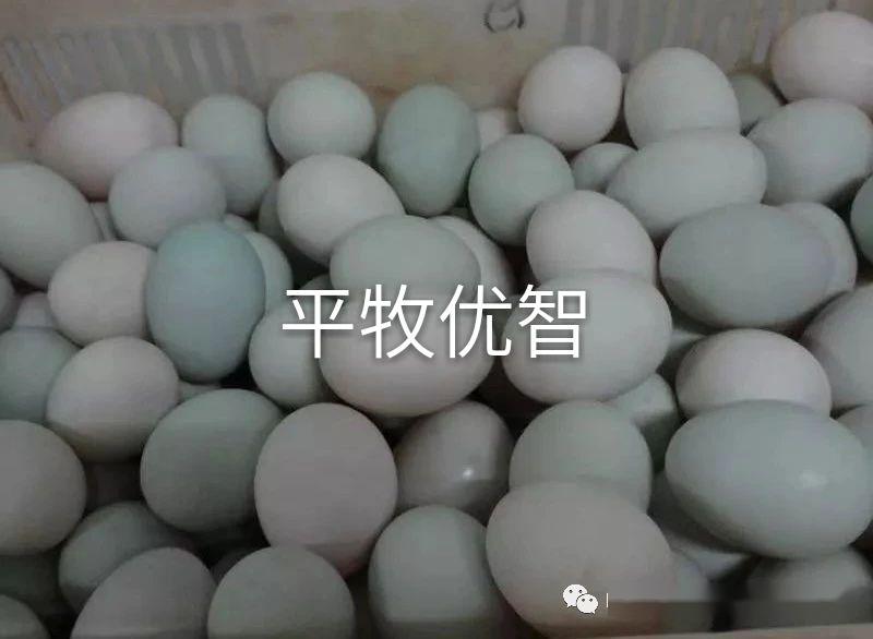 fd4f38875752444bbe1cc717f84eac92.jpeg