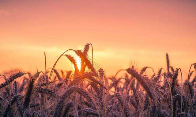 怎么才能保持长久的新鲜感 0032fd9e58264c98882df52f405eea6f.jpeg