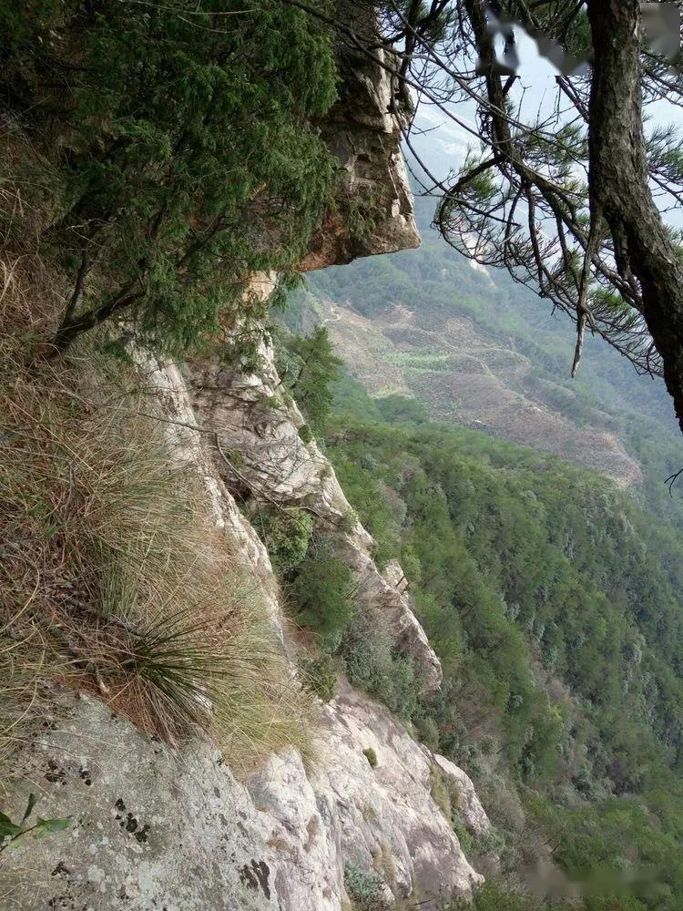 约伴伏岭大平山风景无限美418日野线登攀恐高勿入