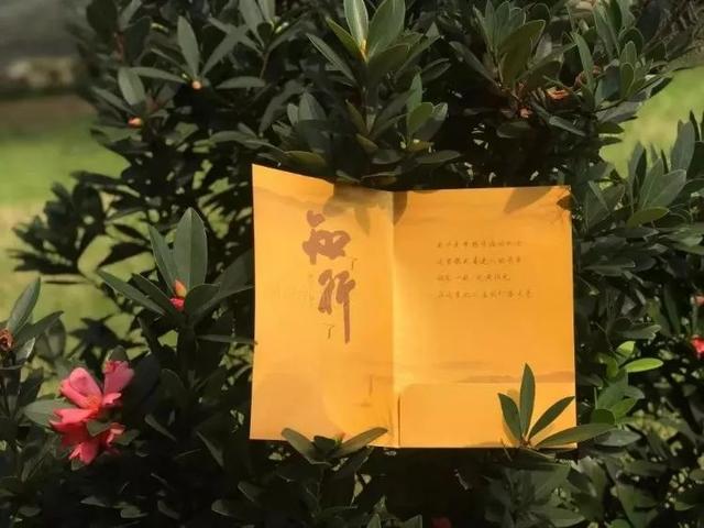 『大学』抢先看！学考大学录取通知书来袭！请注意签收！