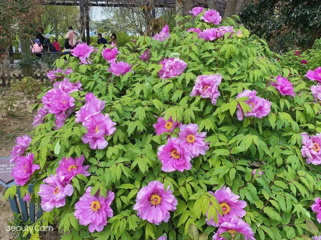 2020年大丰区一模排名_盐城警方捣毁特大“电诈”团伙/大丰区2020届高三一