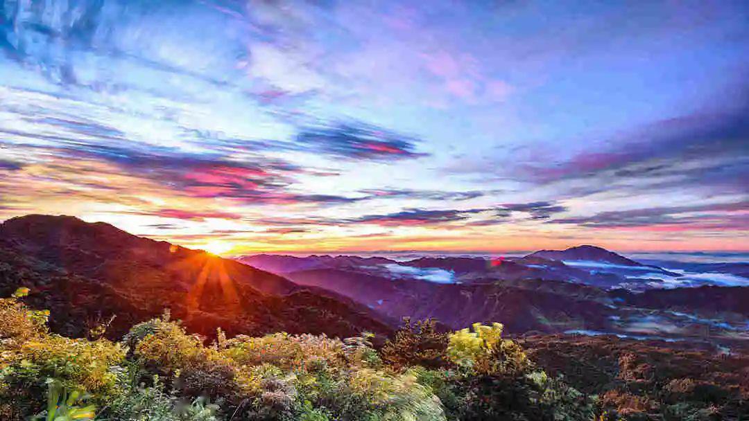 限时抢购所有人井冈山景区门票5折优惠抢票攻略快收藏