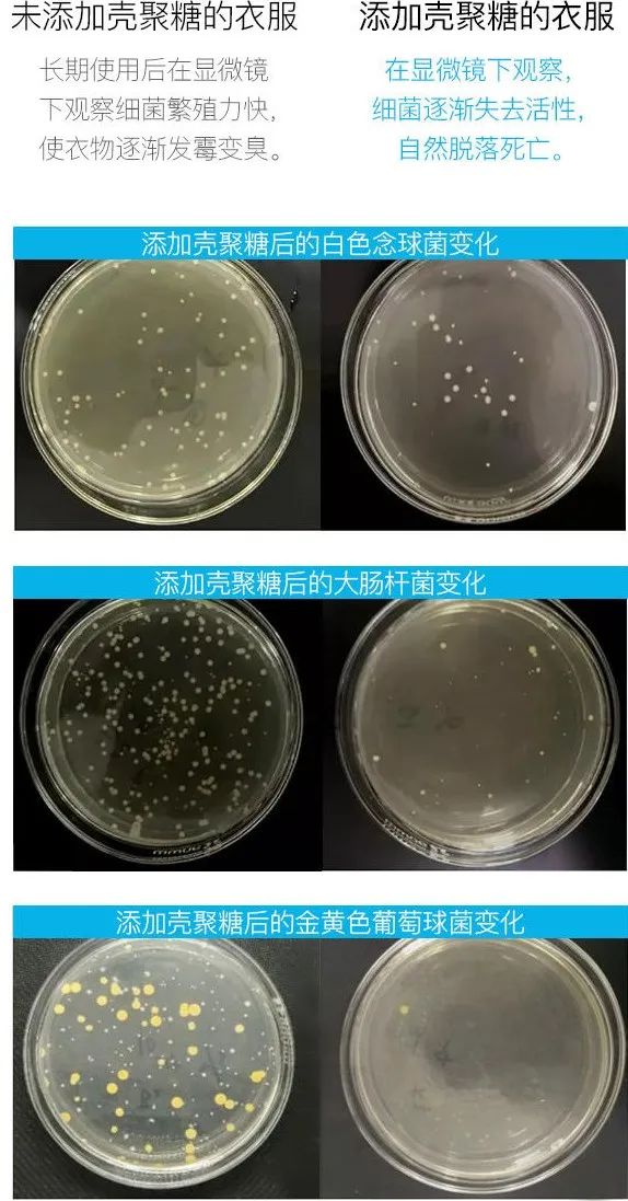 它的抑菌力,简直强到爆炸!