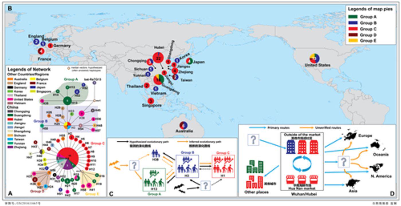 pnas:剑桥最新力作揭示新冠起源和传播,不同地区新冠病毒存在显著差异