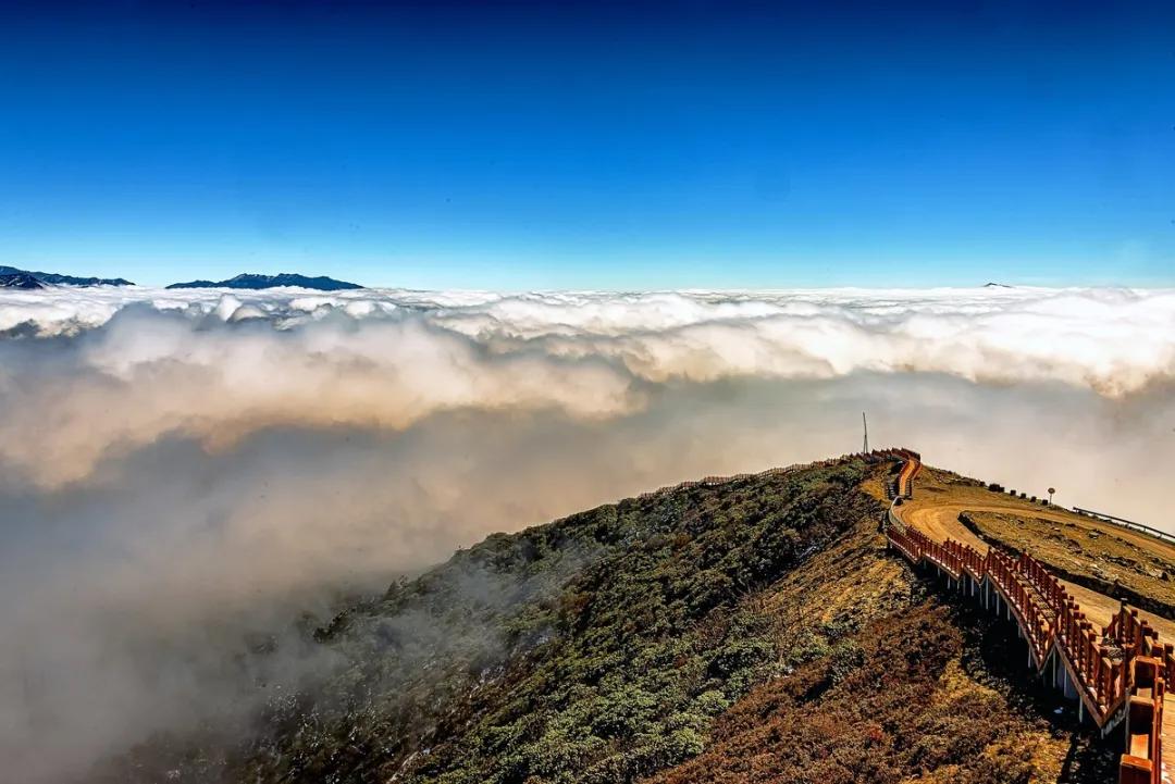 叫板牛背山!被誉为"亚洲第二大360°观景平台",让你云海星空一键收!