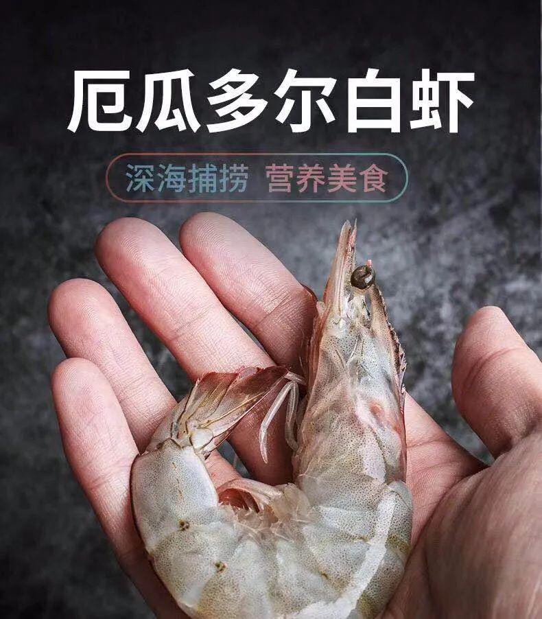 据了解, 2015年北美海鲜博览会上,厄瓜多尔白虾被誉为"头等虾".